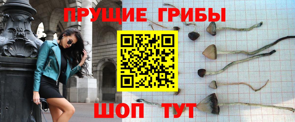купить наркотики сайты  Псилоцибиновые грибы Psilocybe  Вход с VPN  Барнаул  Псилоцибиновые грибы Psilocybine cubensis 